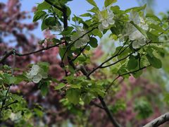 -元大都城垣遗址公园