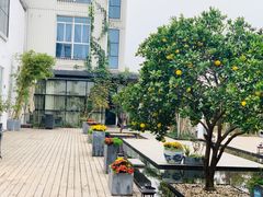 -墨宴(西洋湖店)