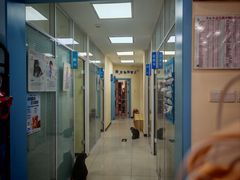 -全心全意连锁动物医院·微创中心·内科急重症·心脏专科(丰管路店)