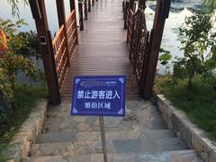 -大塘金香草谷