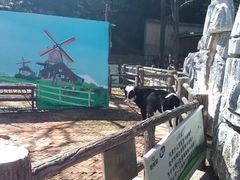 -昆明动物园
