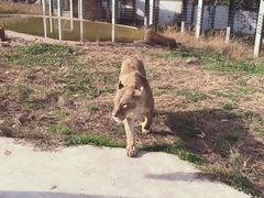 -西安秦岭野生动物园