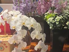 -粘芭喃腊云南的菜