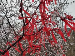 -天津盘山风景名胜区