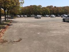 -安飞驰驾校·学车连锁(金高店)