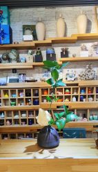 -今日陶艺(富力广场店)