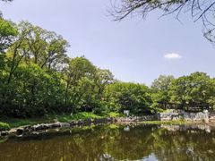 -高尔山公园