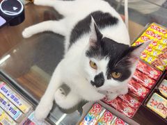 -星巴克臻选(广州高德置地秋广场店)