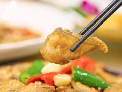 -有腥气私房菜·寻味顺德