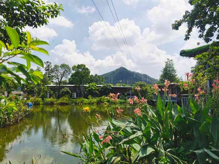 喜悦湾-"顺德游玩,朋友招待,在这个农庄用餐,环境."-大众点评移动版