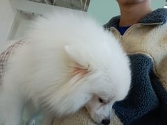 -怪兽屋·羊驼·猫咖·狗咖(俊华广场店)