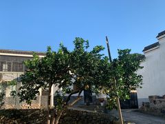 -东钱湖小普陀景区