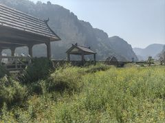-沧源崖画