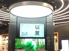 -sundanpulse顺电·脉(海岸城购物中心店)