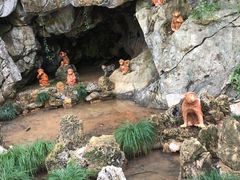 -灵栖洞天
