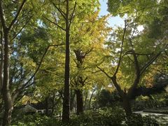 -上海方塔园