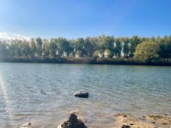 -大兴滨河森林公园