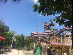 -重庆海昌加勒比海水世界