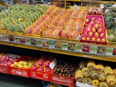 -鸿港海鲜批发市场