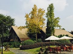 -老房子金沙元年川菜食府·花园餐厅(金沙店)