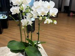 -北京盈之宝宝马4S店(望京店)