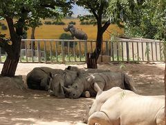 -西安秦岭野生动物园
