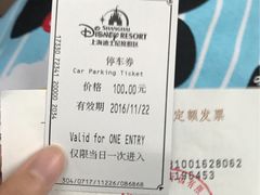 -迪士尼乐园停车场