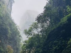 -重庆武隆天生三桥风景区-神鹰天坑