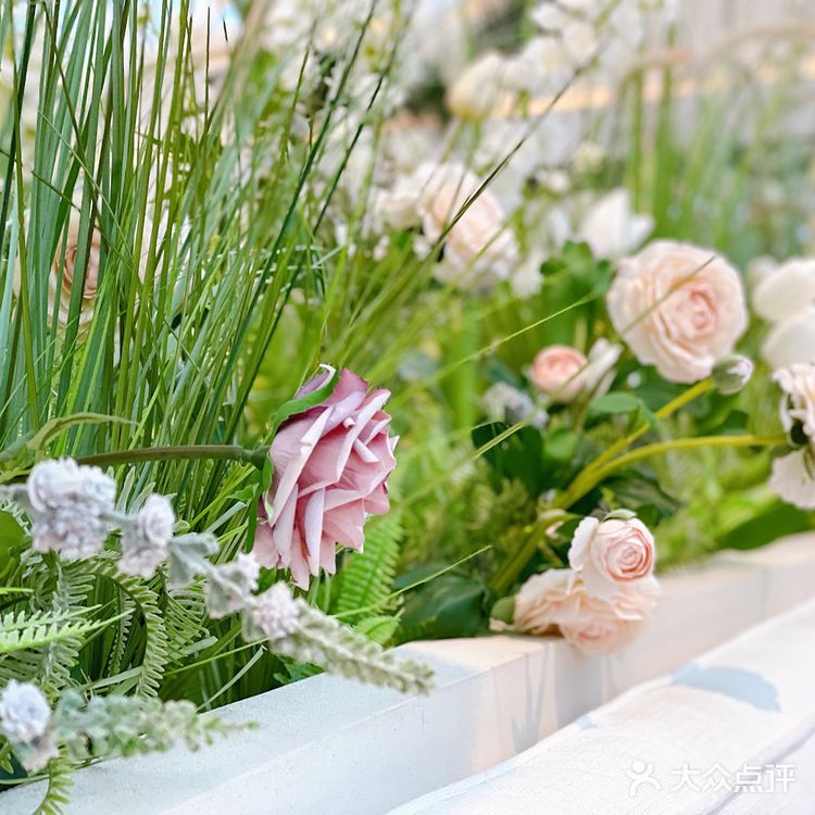 深圳探店 | 花厨