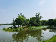-东郊湿地公园