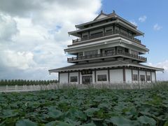 -呼兰河口湿地公园