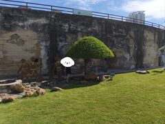 -石炮台公园
