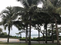 -亚龙湾中心广场