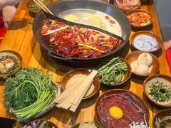 -阳阳老火锅(小南门店)