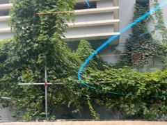 -巴厘龙虾·榜首油焖大虾(洞庭·艺术洋房店)