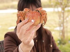 -七的湖·晚芳亭·阳澄湖农家菜·大闸蟹(莲花岛店)