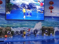 -多彩贵州城极地海洋世界