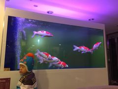 -心乐生活新鲜屋(星海广场店)