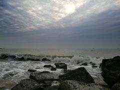 -八婆婆烧仙草(曾厝垵店)