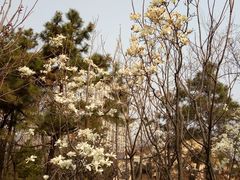 -贮水山儿童公园