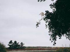 -时光花园(白鹭洲店)