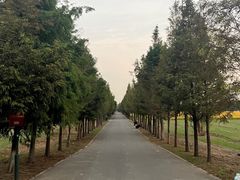 -嘉北郊野公园