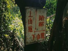 -黄葛古道