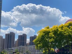 -海河游船-永乐码头(大悲院)