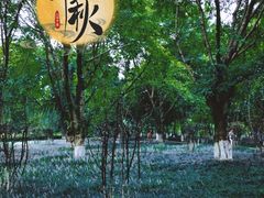 -沙河三洞古桥公园