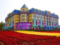 -百万葵园