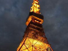 -东京塔海贼王主题公园