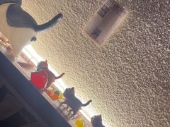-三杯赤運·中式小酒馆(所城里店)