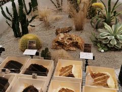 -OUR Bakery(SKP-S店)