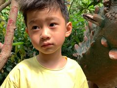 -呀路古热带植物园